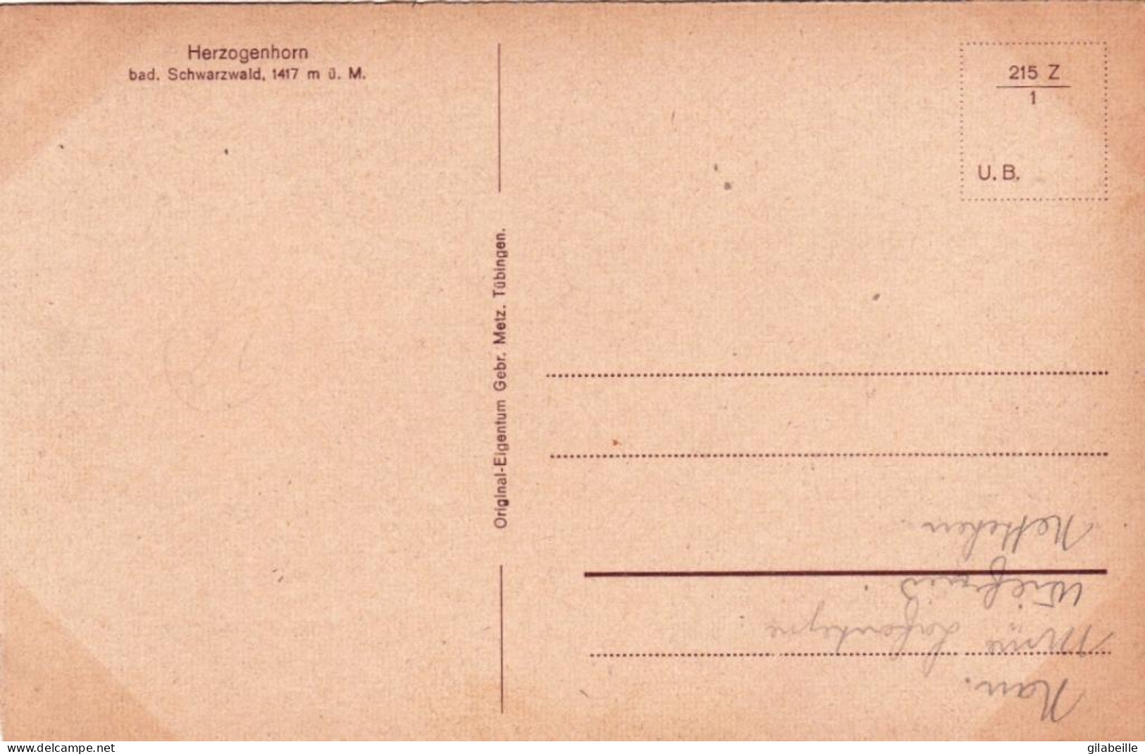 Brandebourg - Bernau  - HERZOGENHORN - Bad Schwarzwald - Bernau