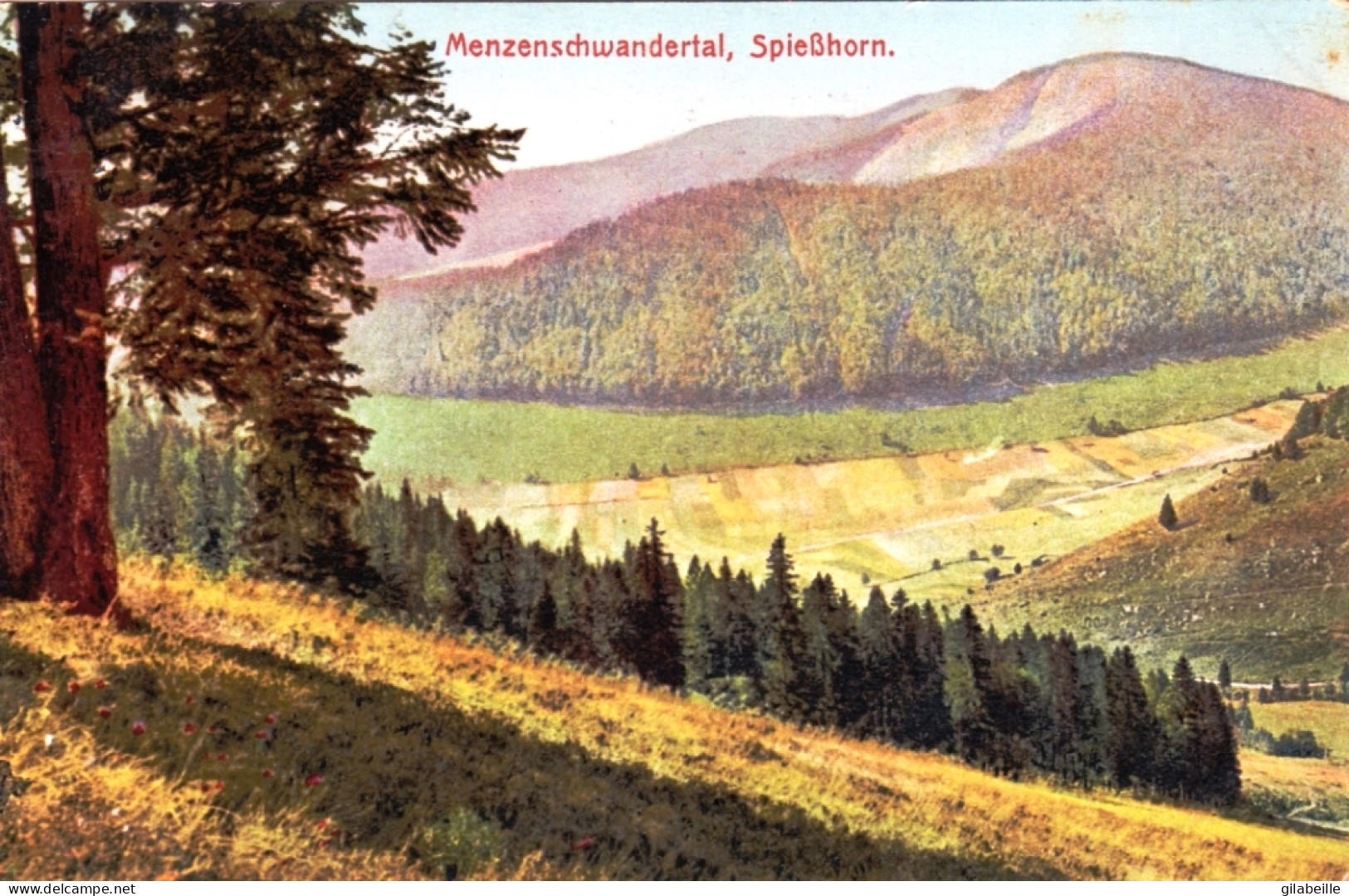 Bade Wurtenberg - FELDBERG - Schwarzwald -  Menzenschwandertal Spiesshorn - Feldberg