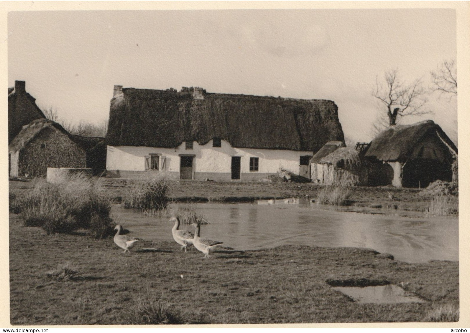 BRECA EN GRANDE BRIERE Vue Par Jaques Cholet - Autres & Non Classés