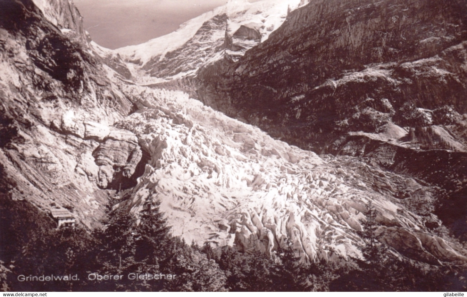 Suisse - Bern - Oberer  GRINDELWALD   Gletscher  - Other & Unclassified