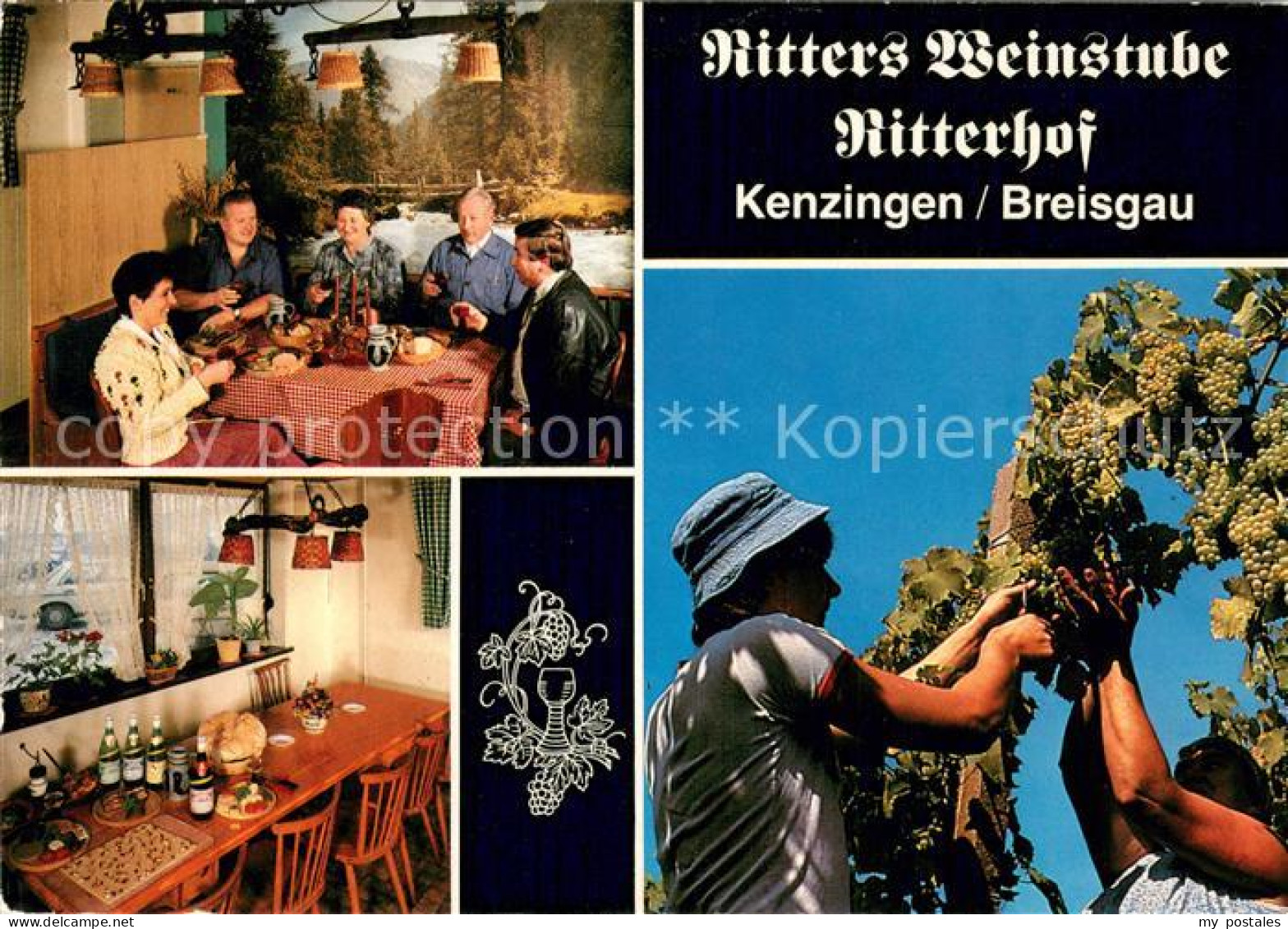 73778419 Kenzingen Ritters Weinstube Ritterhof Weinlese Kenzingen - Autres & Non Classés