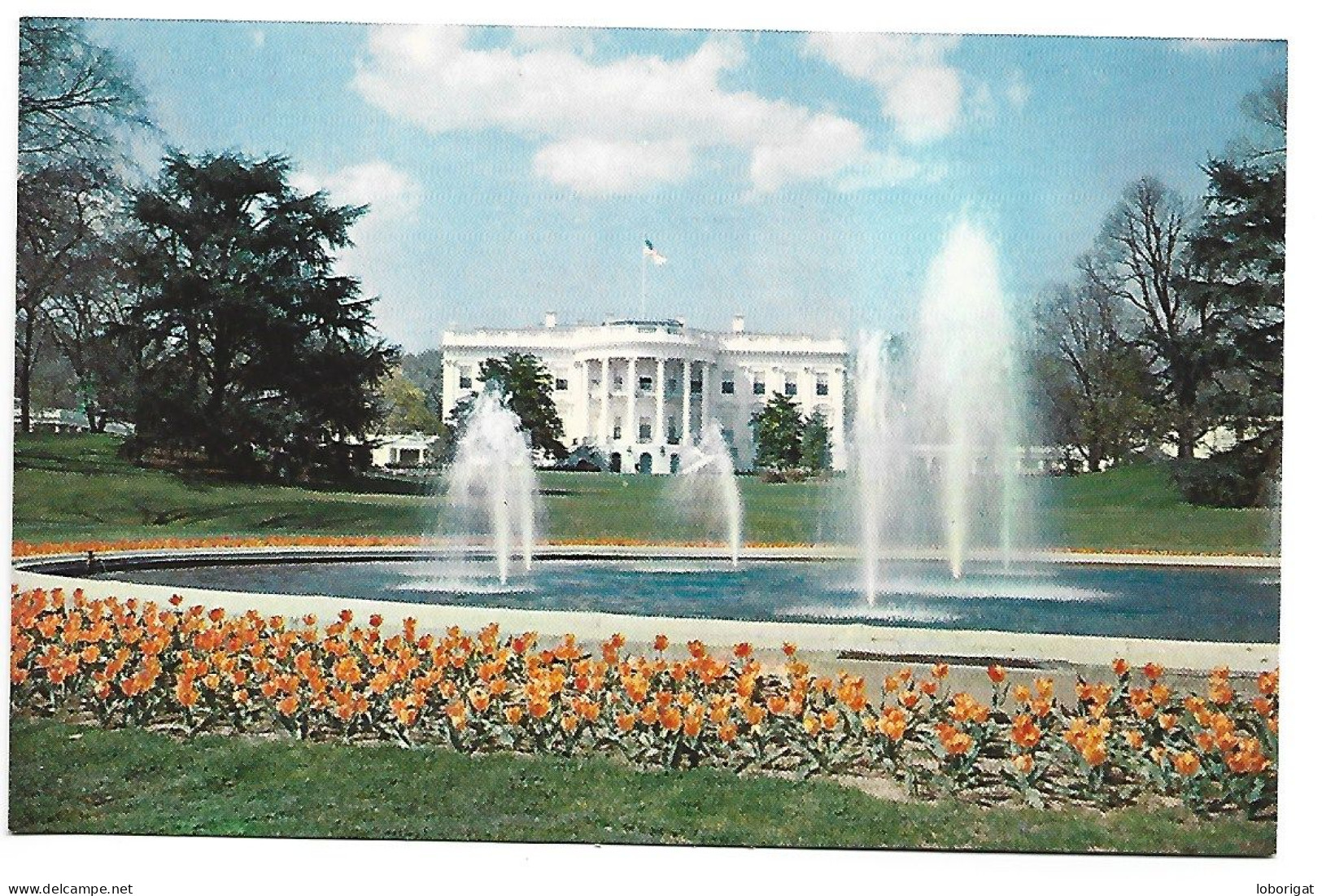 THE WHITE HOUSE AND GROUNDS.-  WASHINGTON D.C..-  ( USA ) - Autres & Non Classés