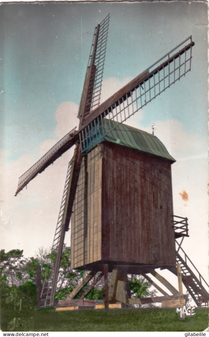 59 -   MONT CASSEL - Le Moulin Erigé Sur L'emplacement De L Ancien Kastel Meulen - Cassel