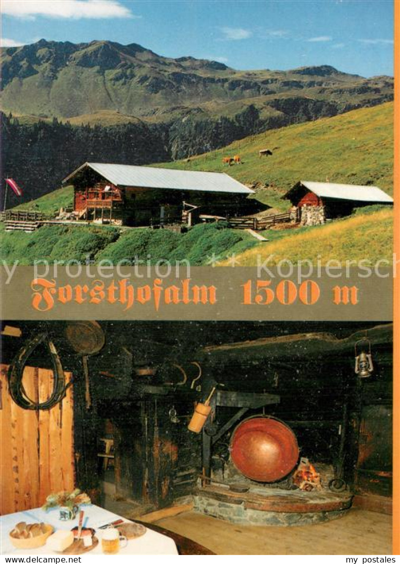 73754127 Maishofen Panorama Forsthofalm Gaststube Maishofen - Sonstige & Ohne Zuordnung