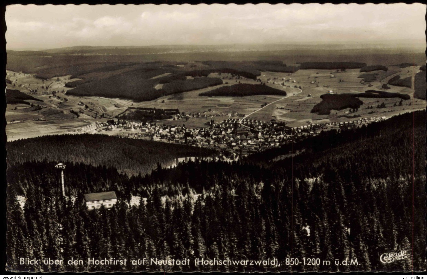 Ansichtskarte Titisee-Neustadt Luftbild Mit Hochfirst 1962 - Titisee-Neustadt