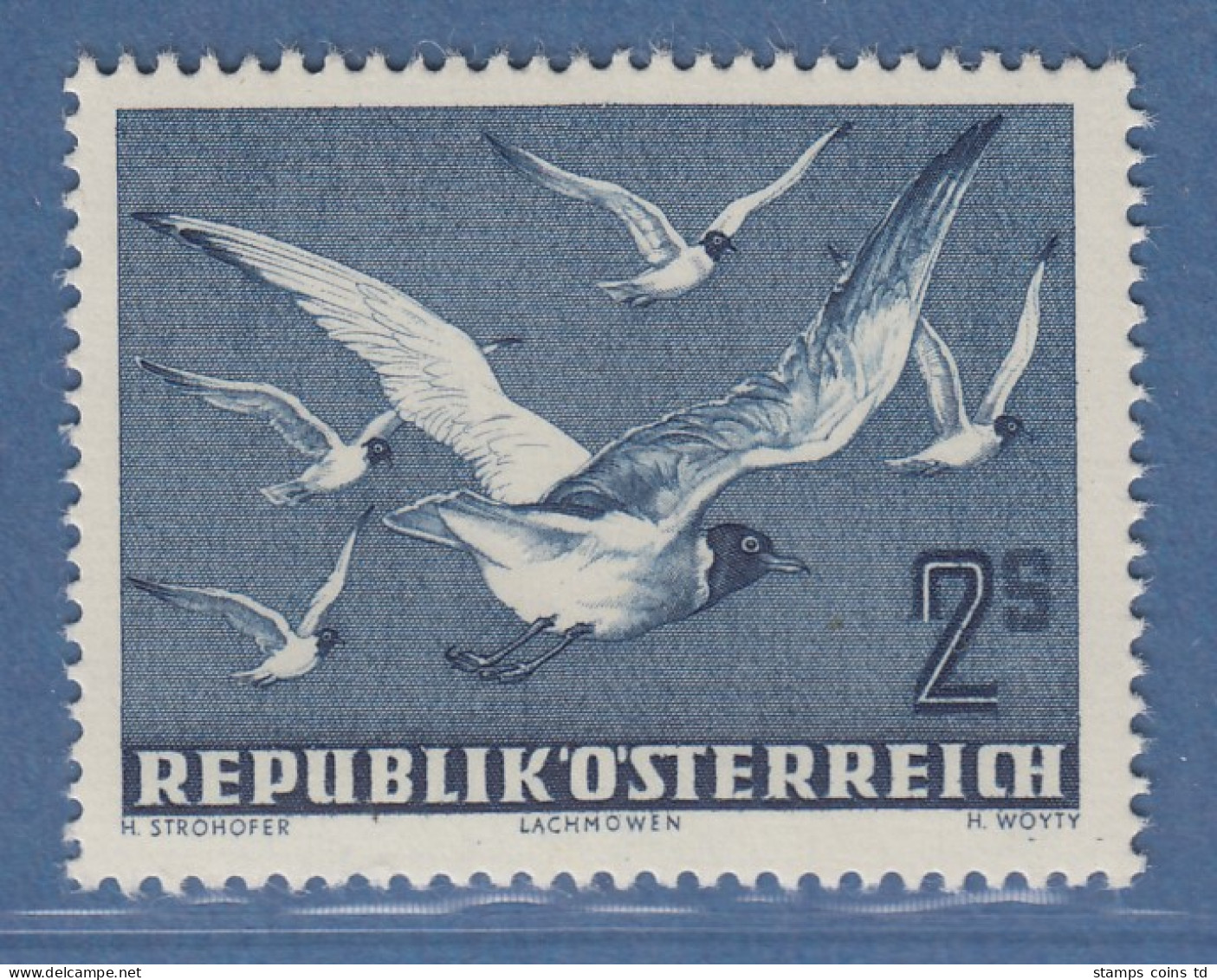Österreich 1950 Freimarke Vögel 2S Lachmöven Mi.-Nr. 956 - Neufs