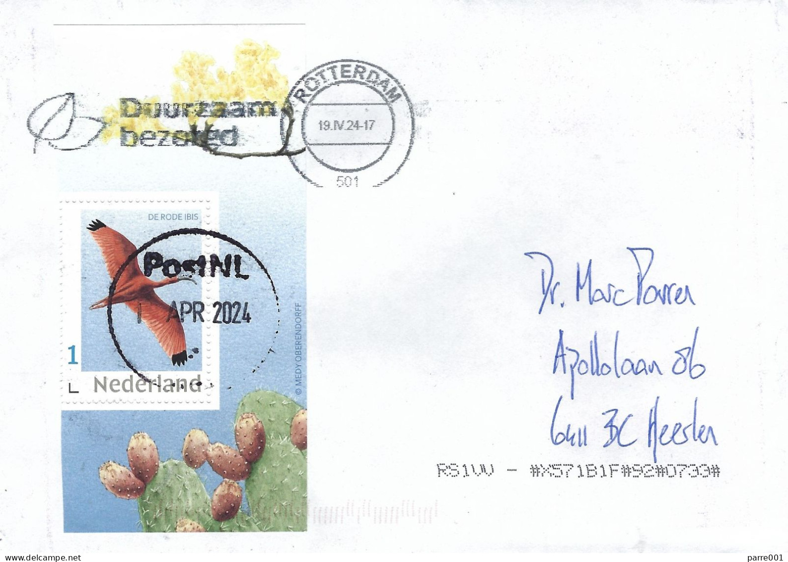 Netherlands Nederland 2024 Gouda Red Ibis Eudocimus Ruber Cactus MS Cover - Zangvogels