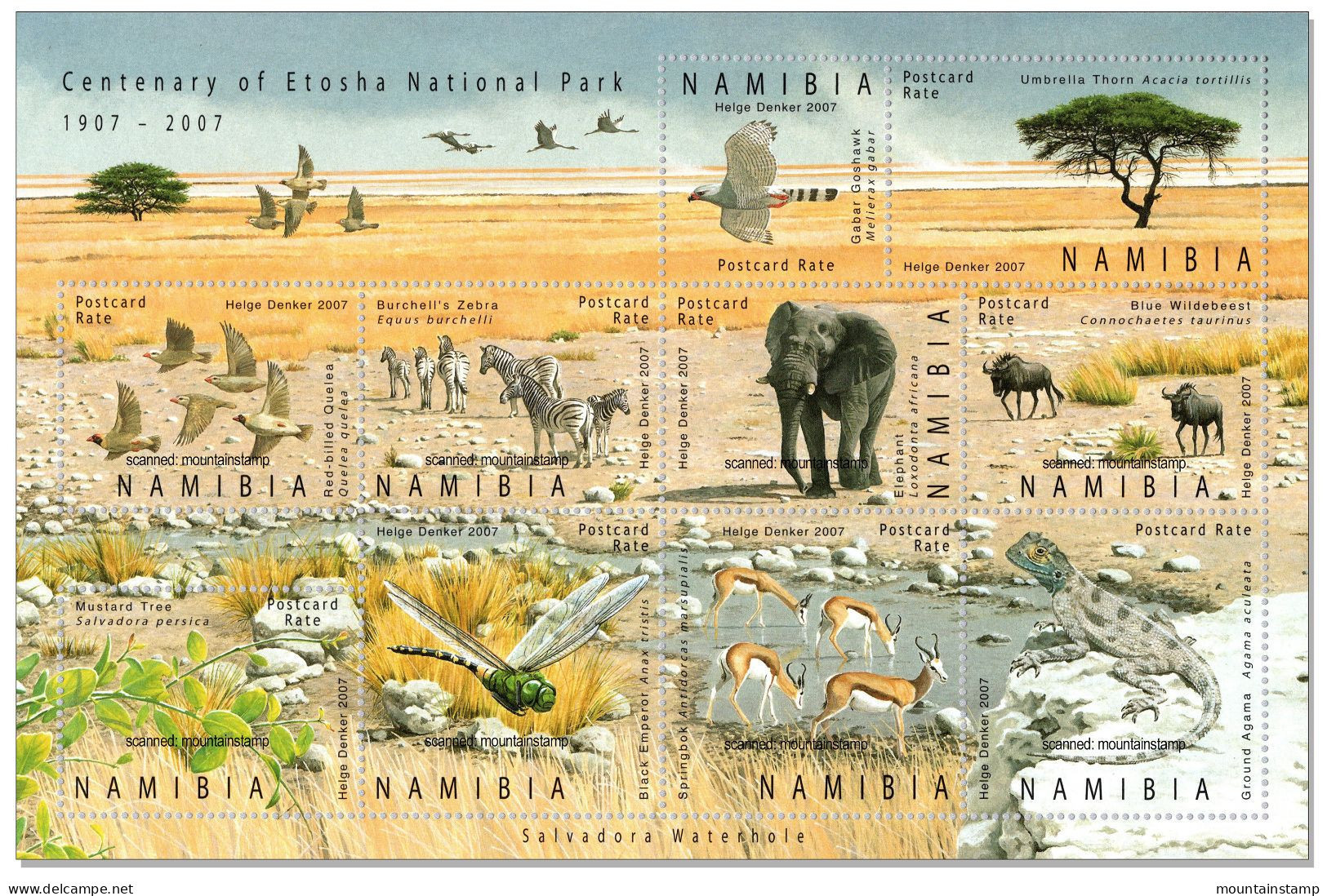 Namibia 2007 Etosha Nationalpark Fauna Birds Elephant Springbok Zebra Insect Lizard Wildebeest Trees MNH ** - Namibië (1990- ...)