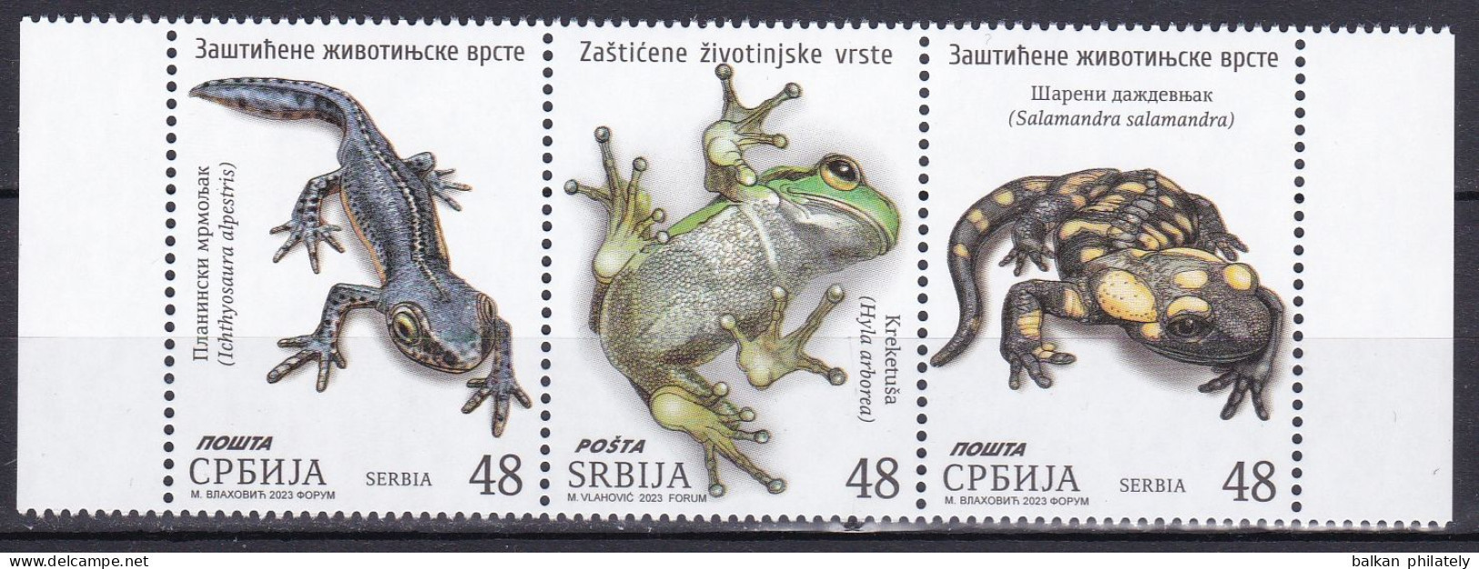 Serbia 2023 Fauna Animals Amphibians Frogs Alpine Newt Fire Salamander MNH - Other & Unclassified