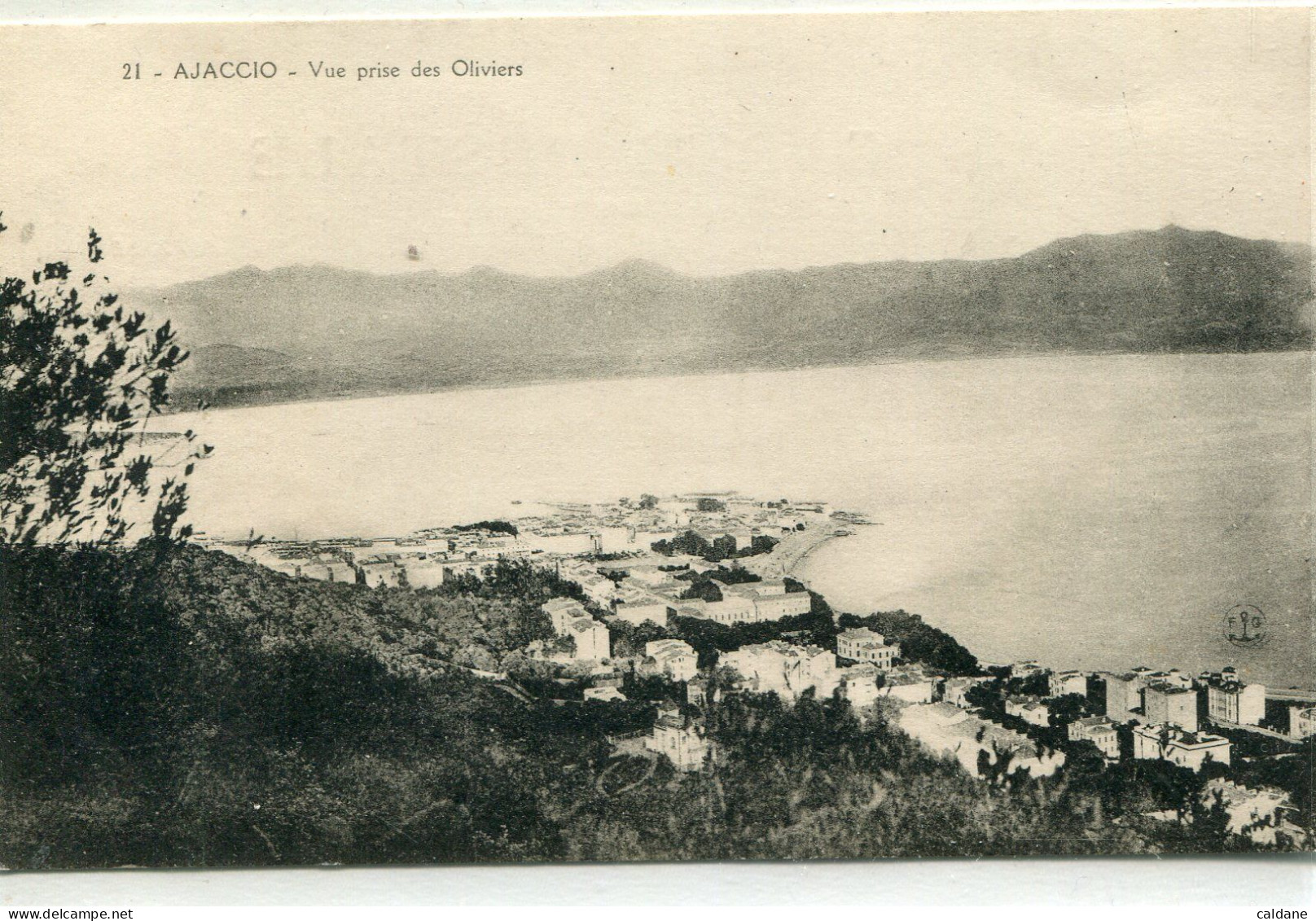 -2A-CORSE-    AJACCIO - Vue Prise Des Oliviers - Ajaccio