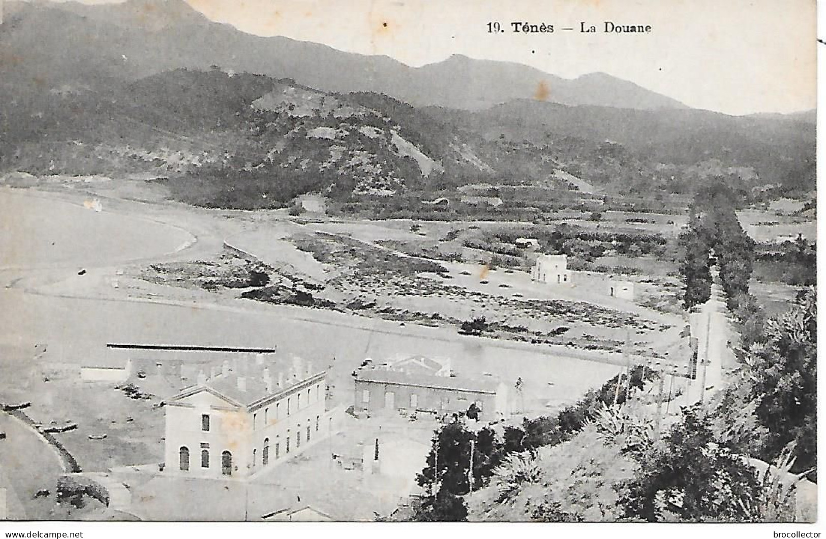 TENES ( Algérie ) - La Douane - Other & Unclassified