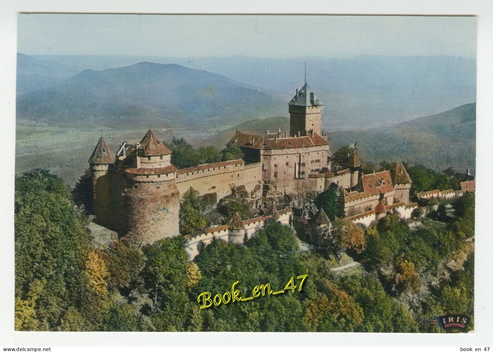 {91804} 67 Bas Rhin Le Châteu Du Haut Koenigsbourg - Other & Unclassified