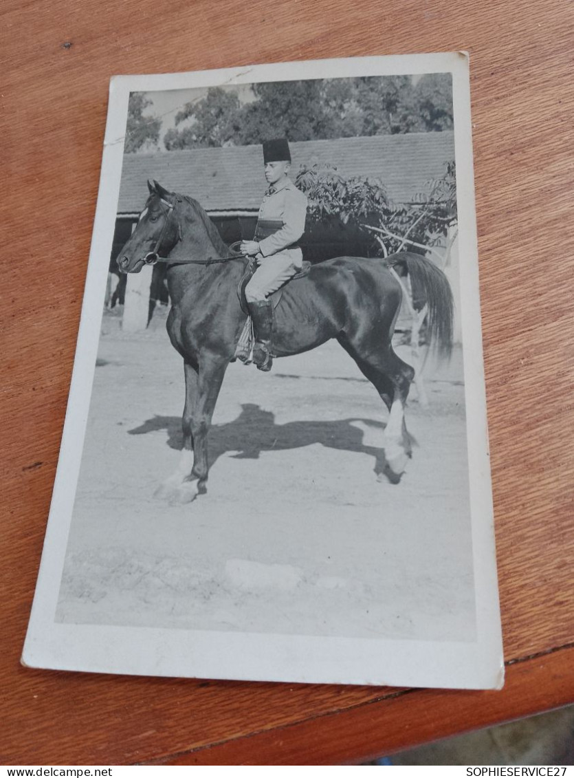 562 //  PHOTO ANCIENNE  DU COMBATTANT / ALGER - Photographie