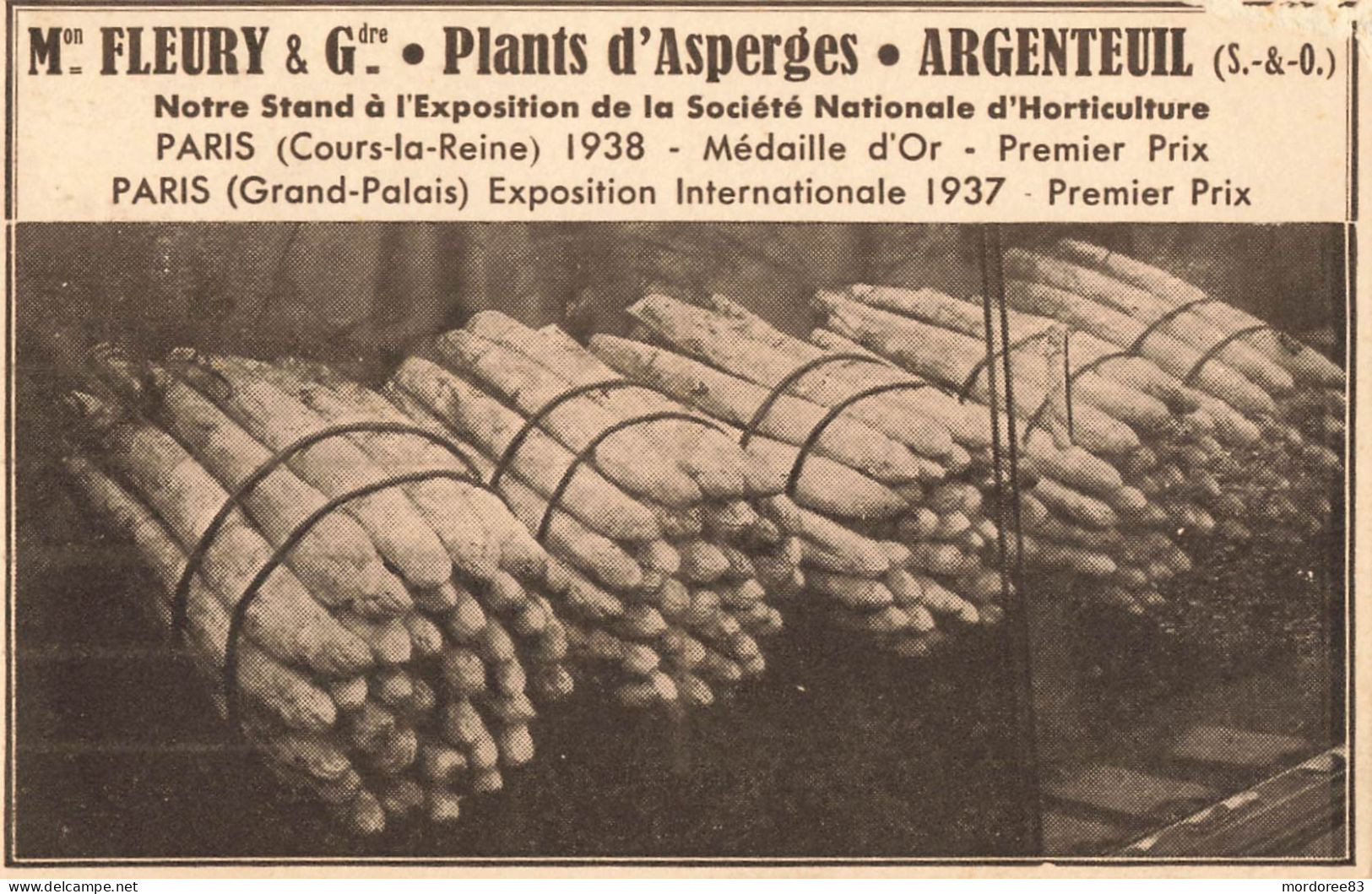 95 / ARGENTEUIL / FLEURY PLANTS D'ASPERGES 1941 - Argenteuil