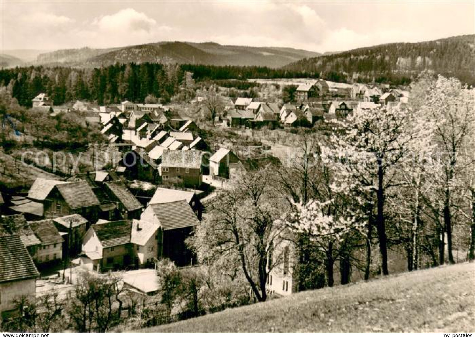 73753548 Frankenhain Thueringen Panorama Frankenhain Thueringen - Autres & Non Classés