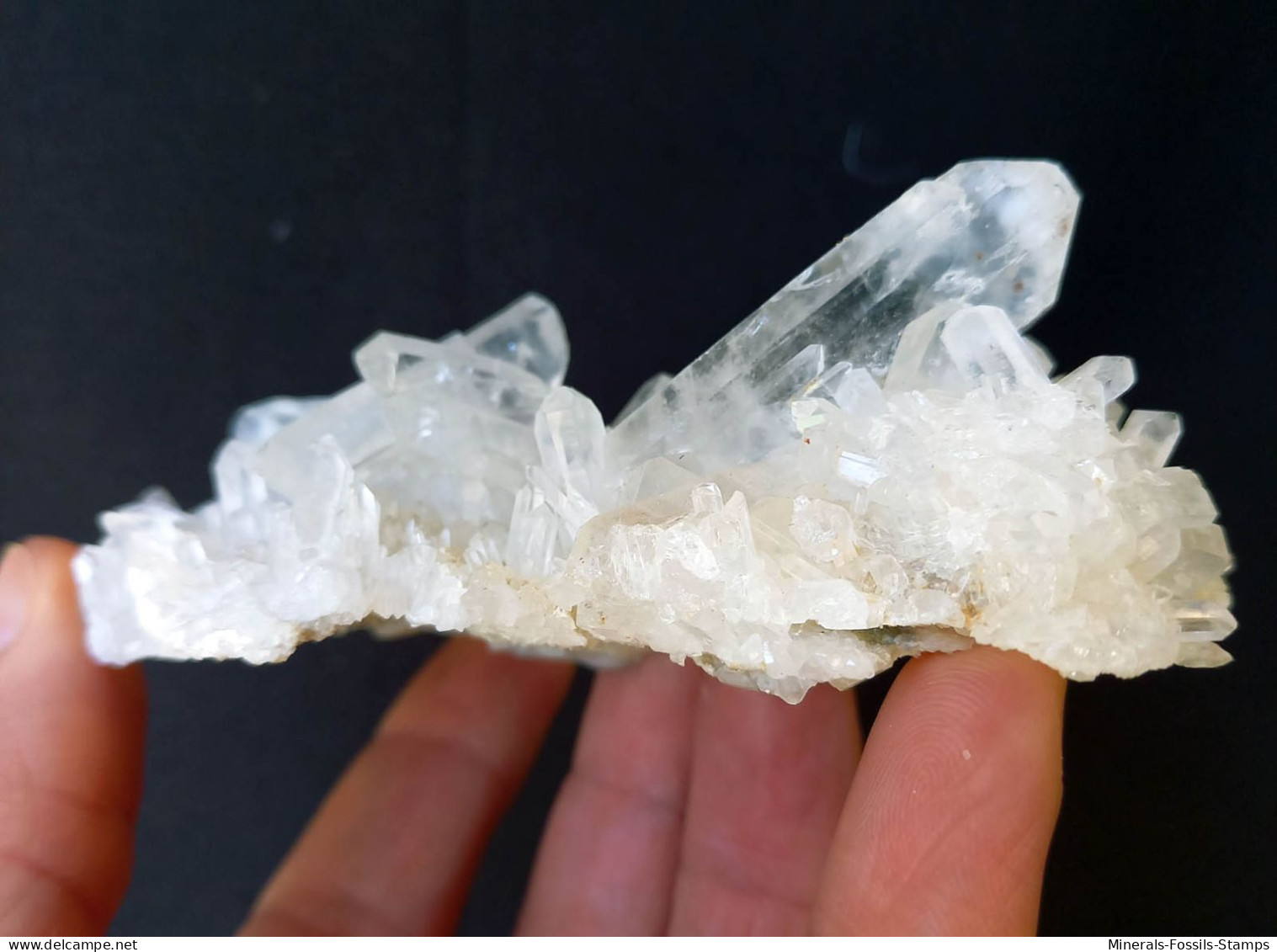 #A48 WUNDERSCHÖNE Tafelförmige Quarzkristalle (Aiguille De Talèfre, Mont Blanc, Aosta, Italien) - Mineralen