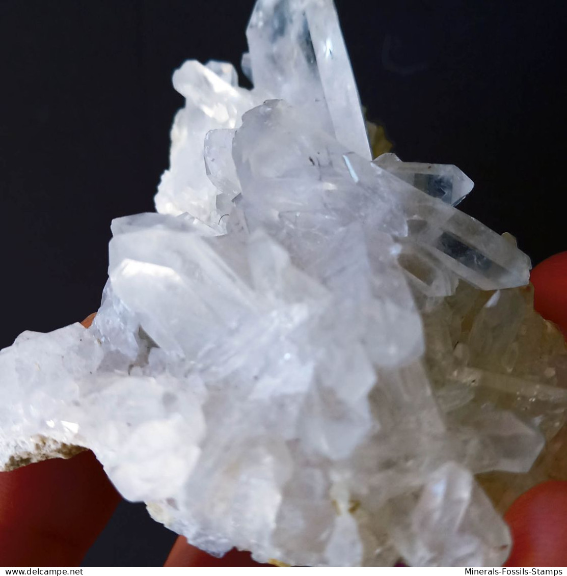 #A48 WUNDERSCHÖNE Tafelförmige Quarzkristalle (Aiguille De Talèfre, Mont Blanc, Aosta, Italien) - Mineralen