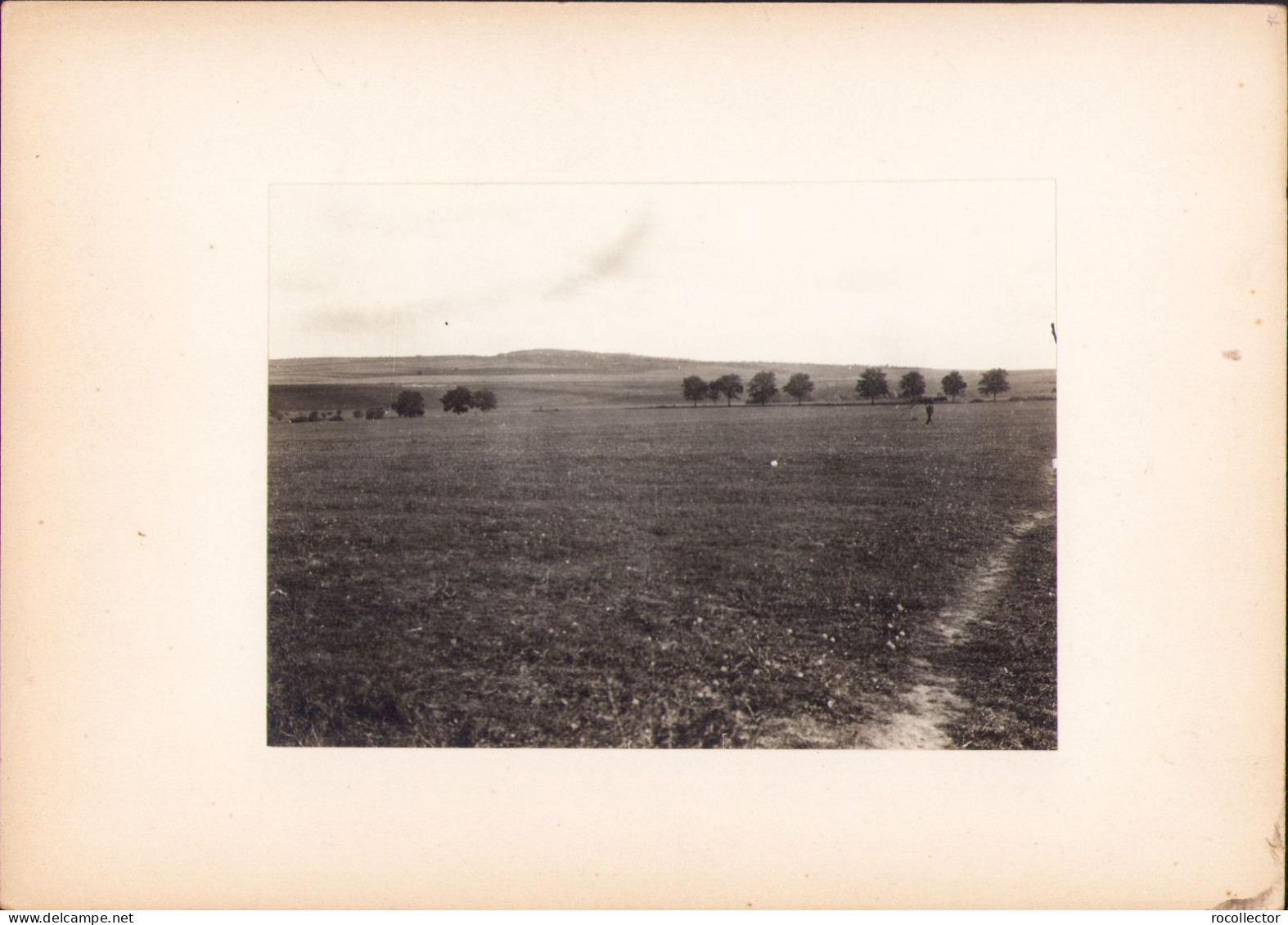 Vedere Spre Dealul Silagiului Buziaș, 1921, Fotografie De George Vâlsan  G111N - Places