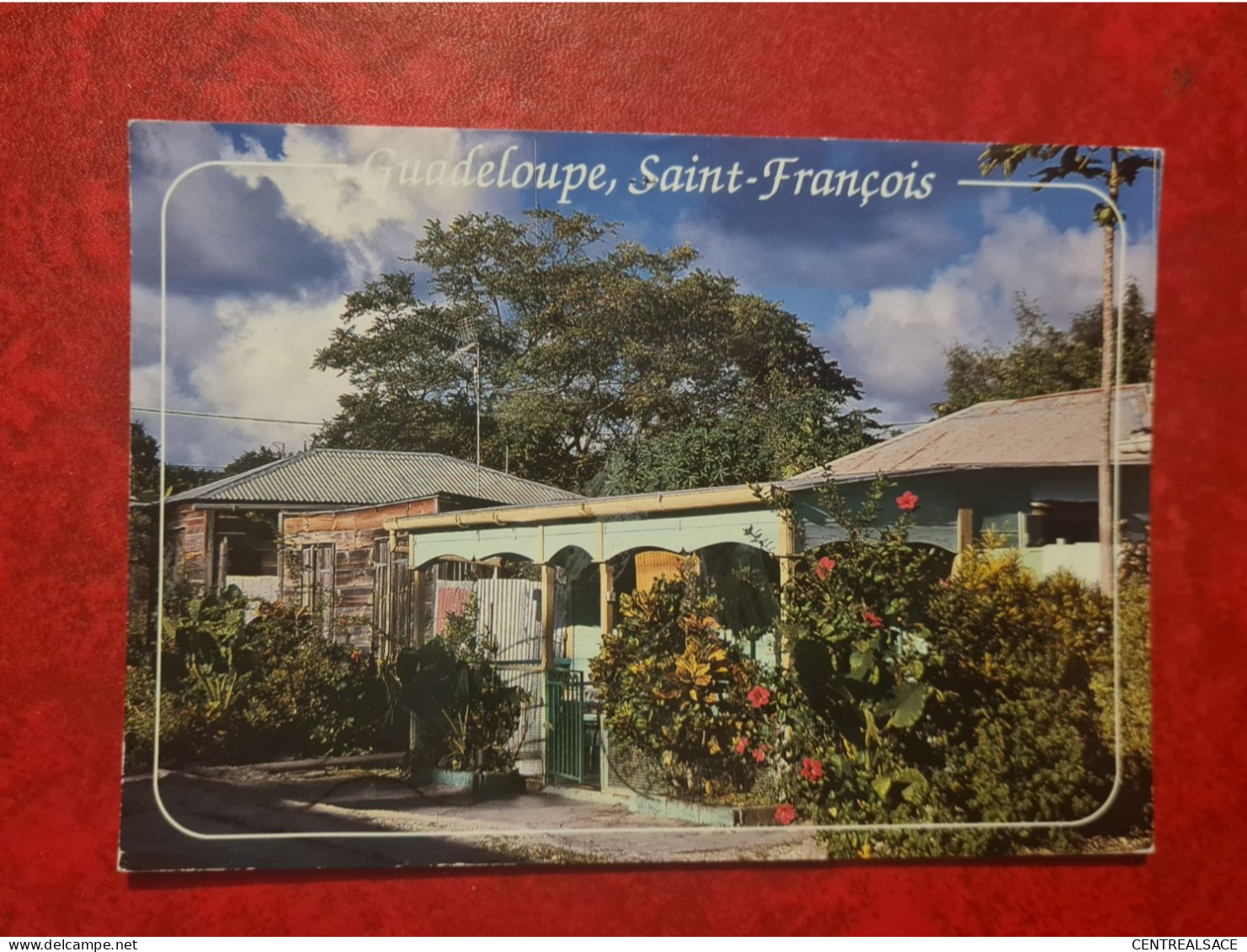 Carte GUADELOUPE SAINT FRANCOIS CASES CREOLES - Sonstige & Ohne Zuordnung