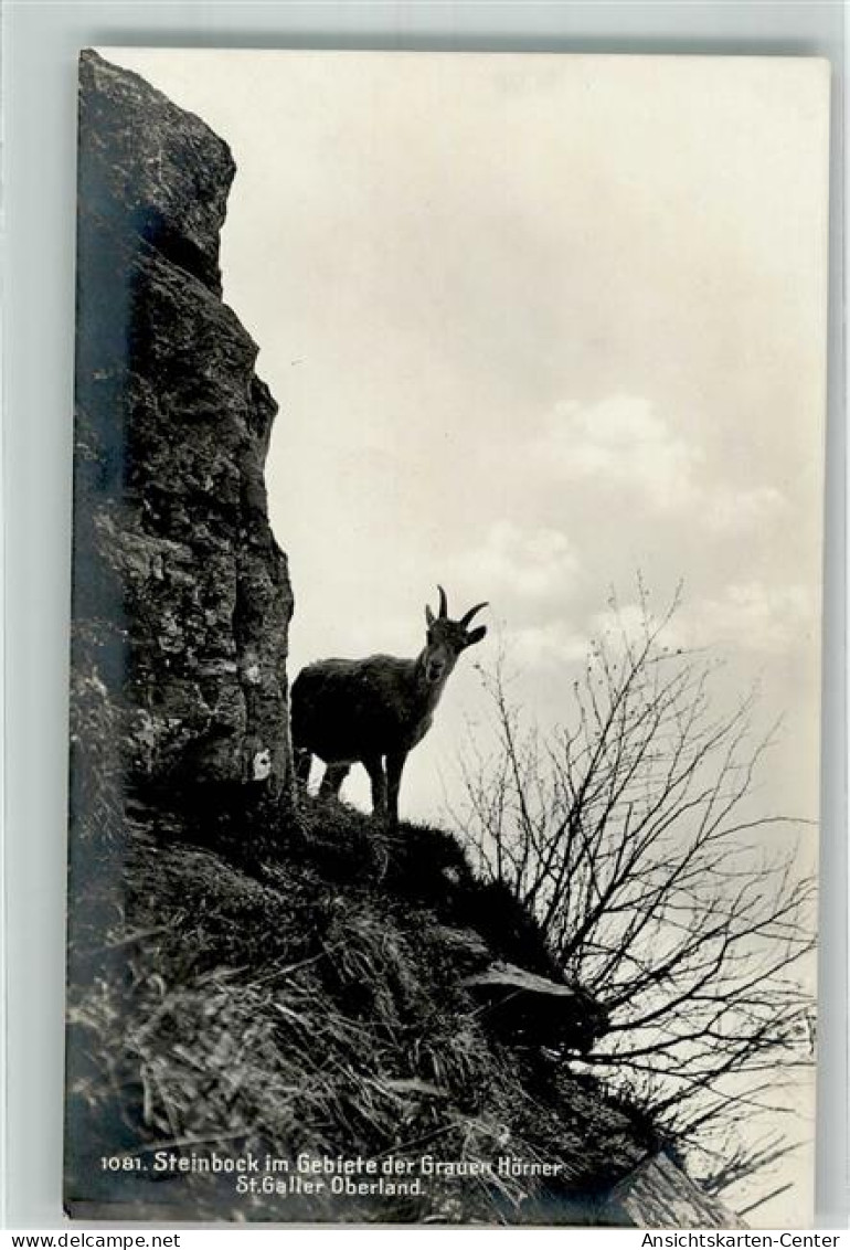 39696005 - Steinbock Graue Hoerner - Sonstige & Ohne Zuordnung