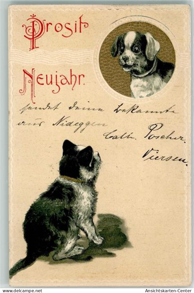 39275505 - Kleiner Hund - Neujahr