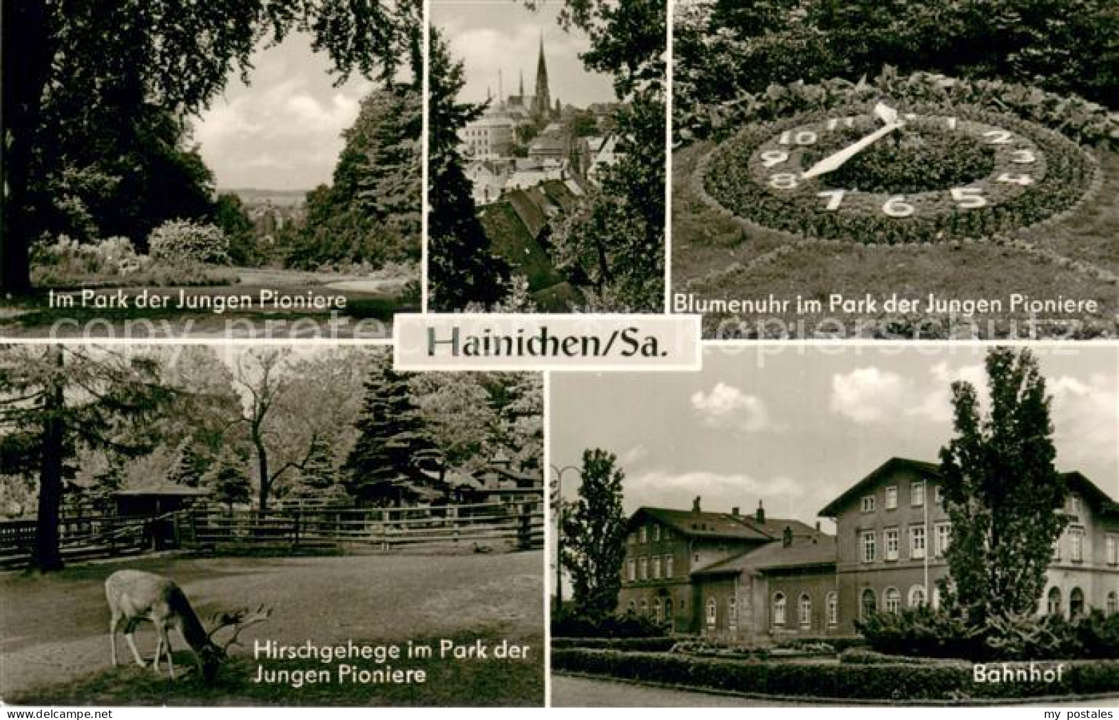 73753455 Hainichen Sachsen Park Der Jungen Pioniere Blumenuhr Hirschgehege Bahnh - Autres & Non Classés