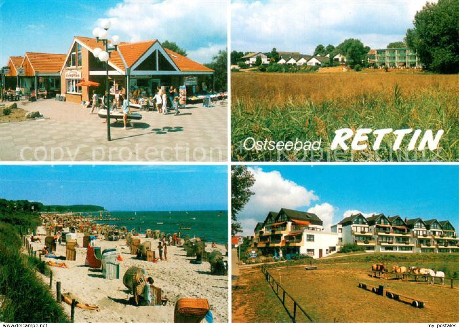 73753387 Rettin Bungalows Strandpartien Pferdekoppel Rettin - Neustadt (Holstein)