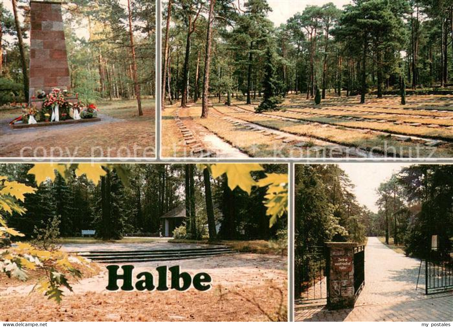 73753386 Halbe Waldfriedhof Halbe Fuer Die Opfer Aus Der Kesselschlacht 1945 Hal - Autres & Non Classés