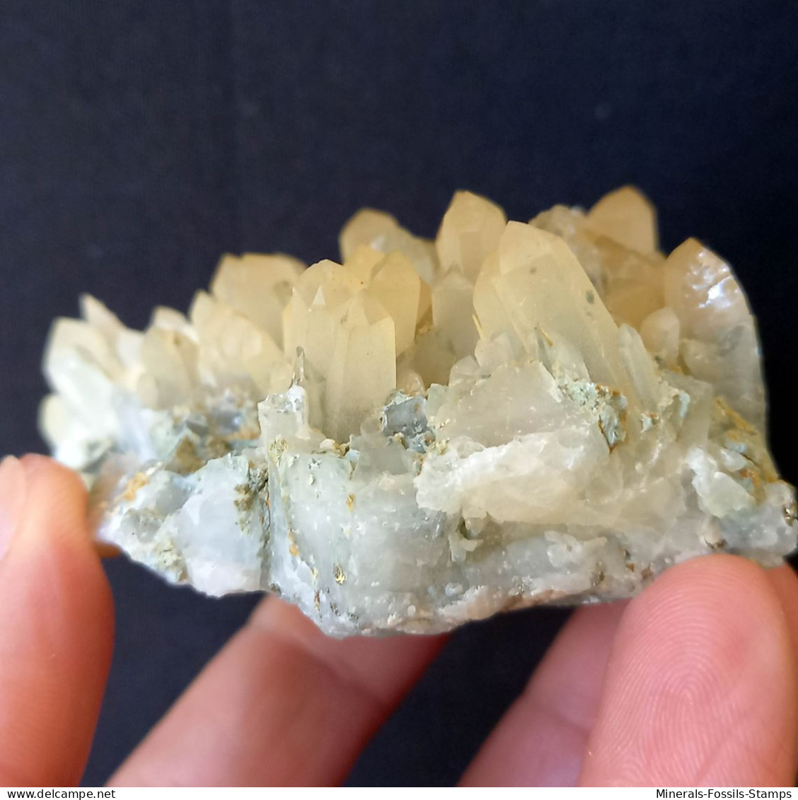 #A50 Schöne Blassgelbe QUARZ Kristalle (Bor Quarry, Dalnegorsk, Russland) - Minerali