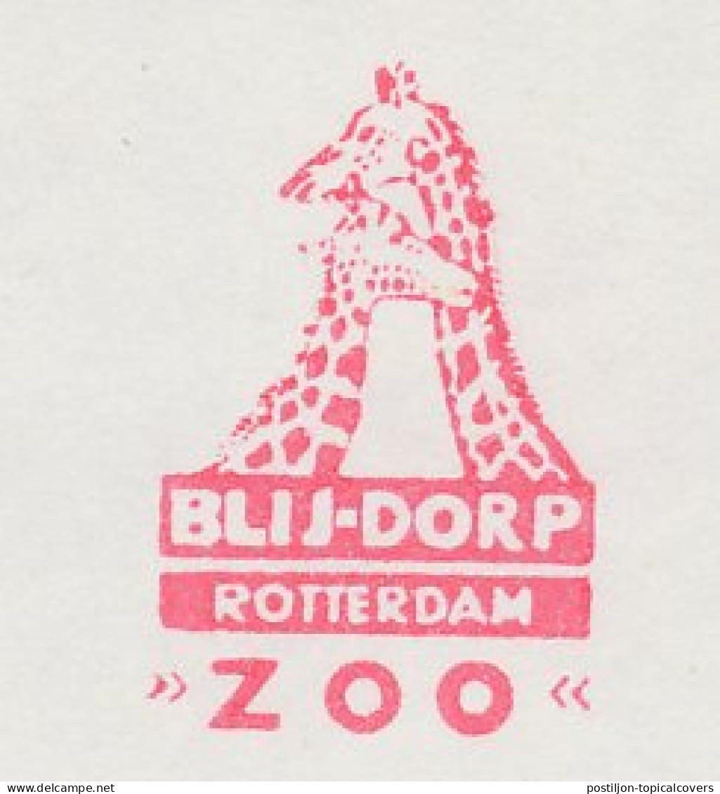 Meter Cut Netherlands 1988 Giraffe - Zoo Rotterdam - Sonstige & Ohne Zuordnung