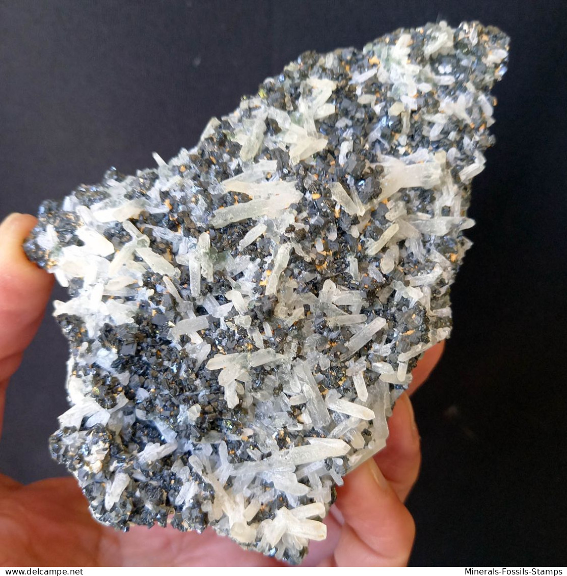 #A52 GALENIT, QUARZ Kristalle 'doppelseitigen' (Dalnegorsk, Primorskiy Kray, Russland) - Minerals