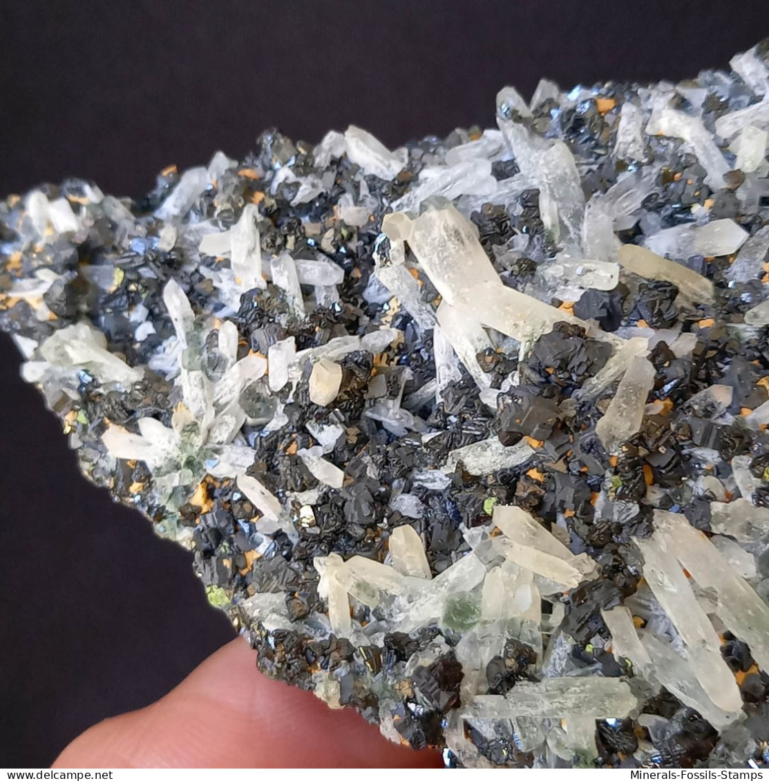 #A52 GALENIT, QUARZ Kristalle 'doppelseitigen' (Dalnegorsk, Primorskiy Kray, Russland) - Mineralen