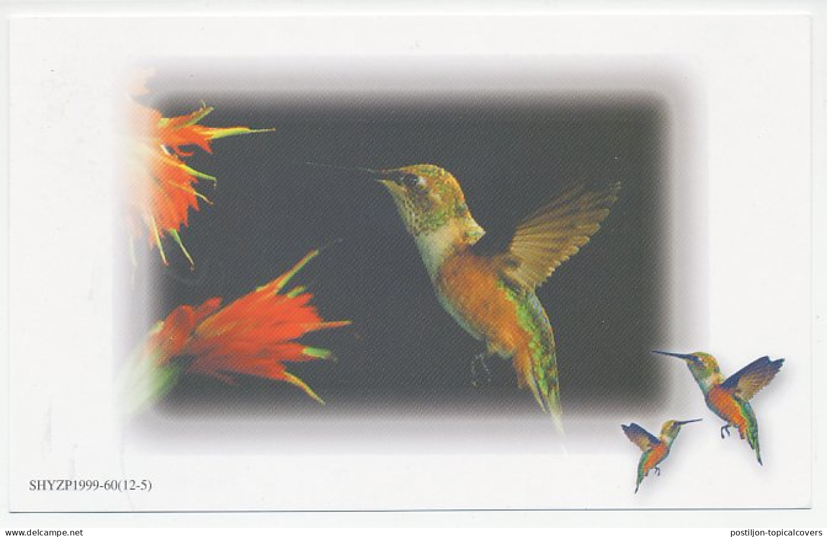 Postal Stationery China 1999 Bird - Hummingbird - Andere & Zonder Classificatie