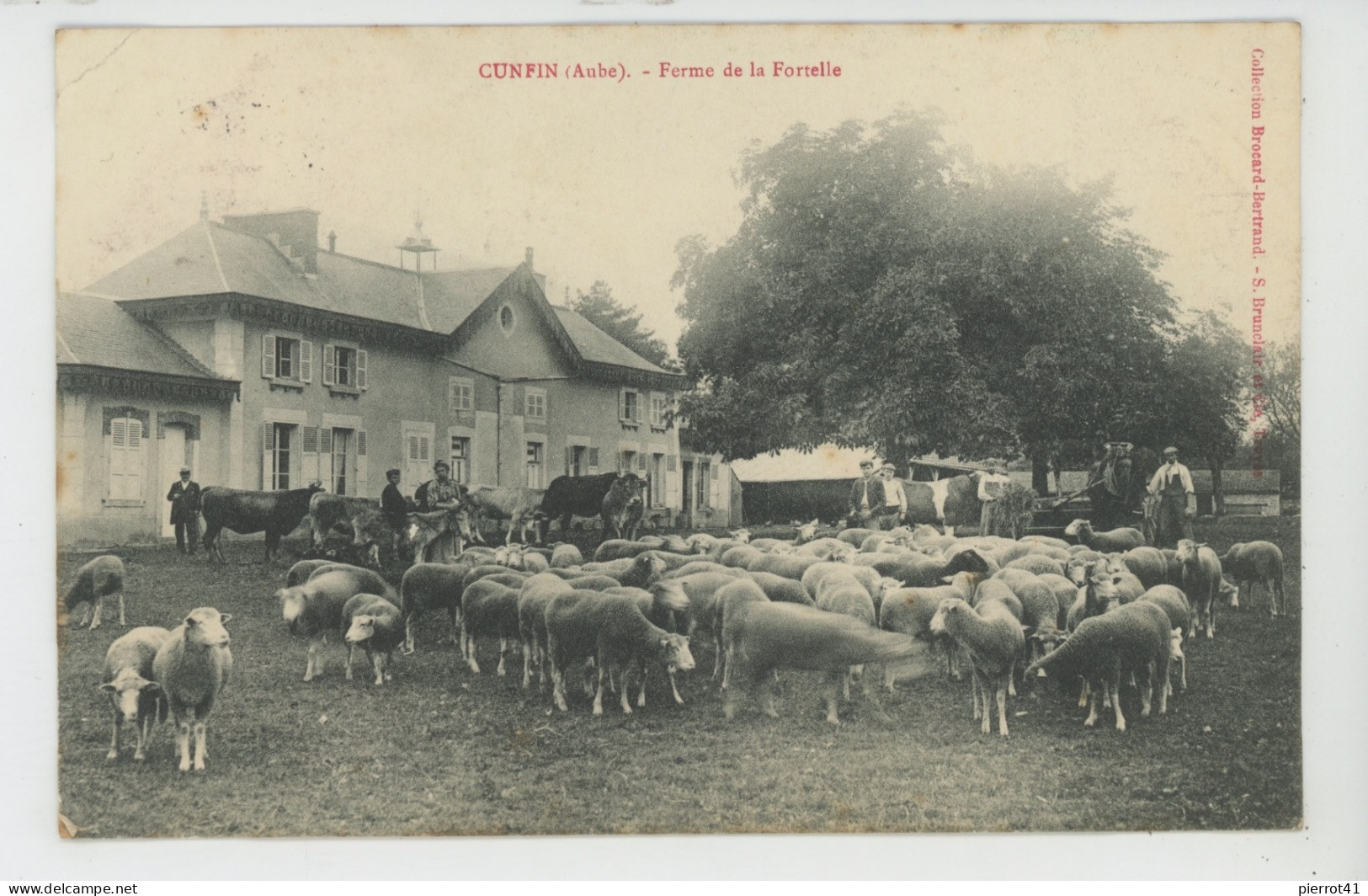 CUNFIN - Ferme De La Fortelle (troupeau De Moutons) - Other & Unclassified