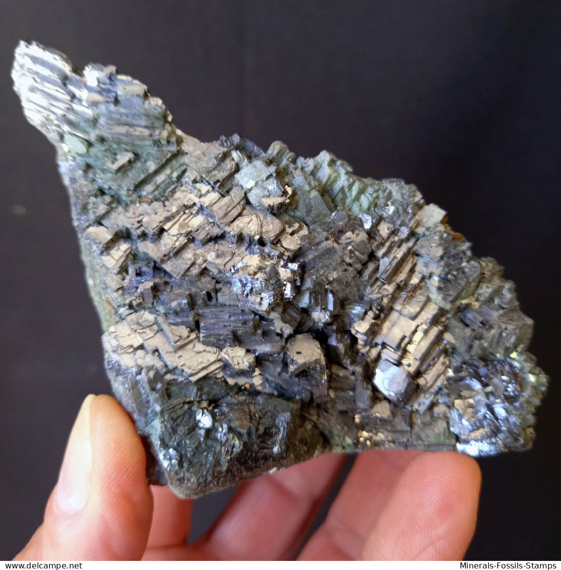 #A54 Schöne GALENIT Kristalle (Madan, Smolyan, Bulgarien) - Minerales