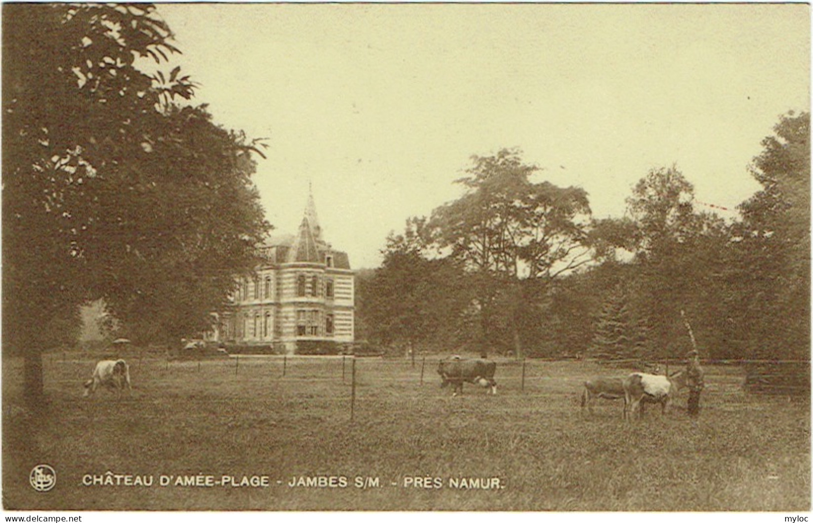 Carte Publicité. Château D'Amée-Plage. Hôtel-Restaurant. Jambes Près Namur. - Namur