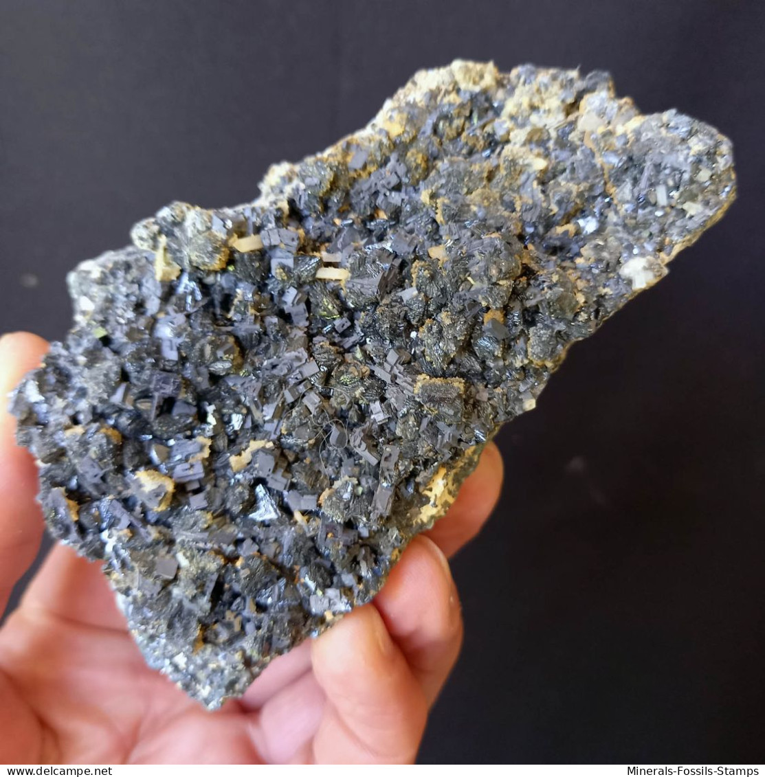 #A55 GALENIT, Sphalerit Kristalle (Dalnegorsk, Primorskiy Kray, Russland) - Minéraux