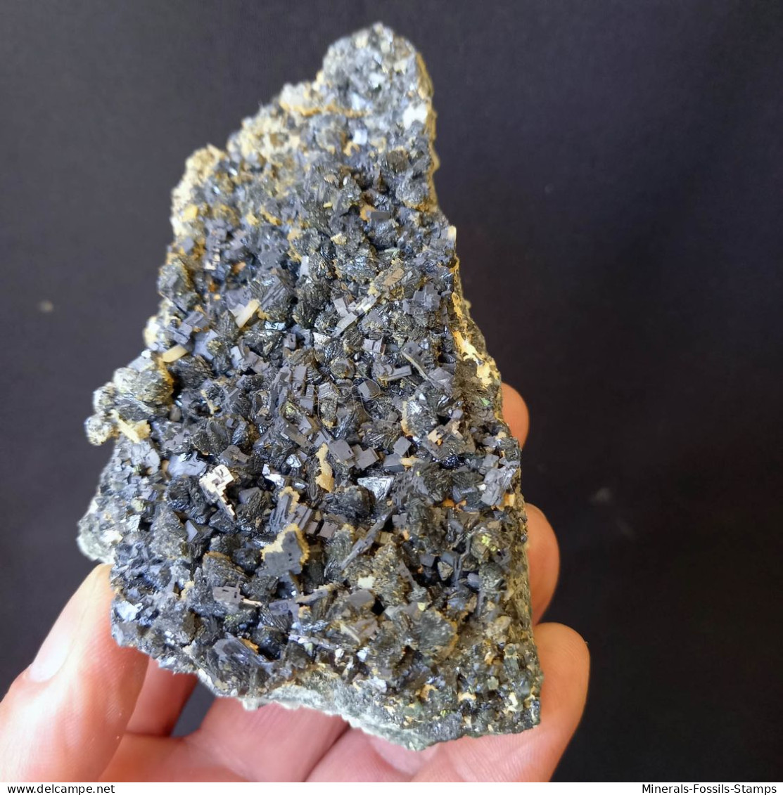 #A55 GALENIT, Sphalerit Kristalle (Dalnegorsk, Primorskiy Kray, Russland) - Minerales