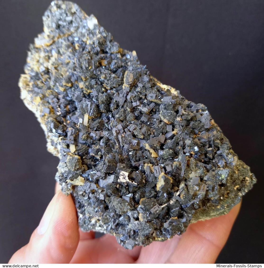 #A55 GALENIT, Sphalerit Kristalle (Dalnegorsk, Primorskiy Kray, Russland) - Minerales