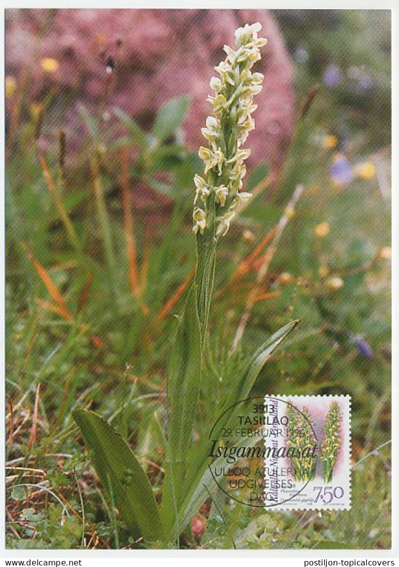 Maximum Card Greenland 1996 Orchid - Other & Unclassified