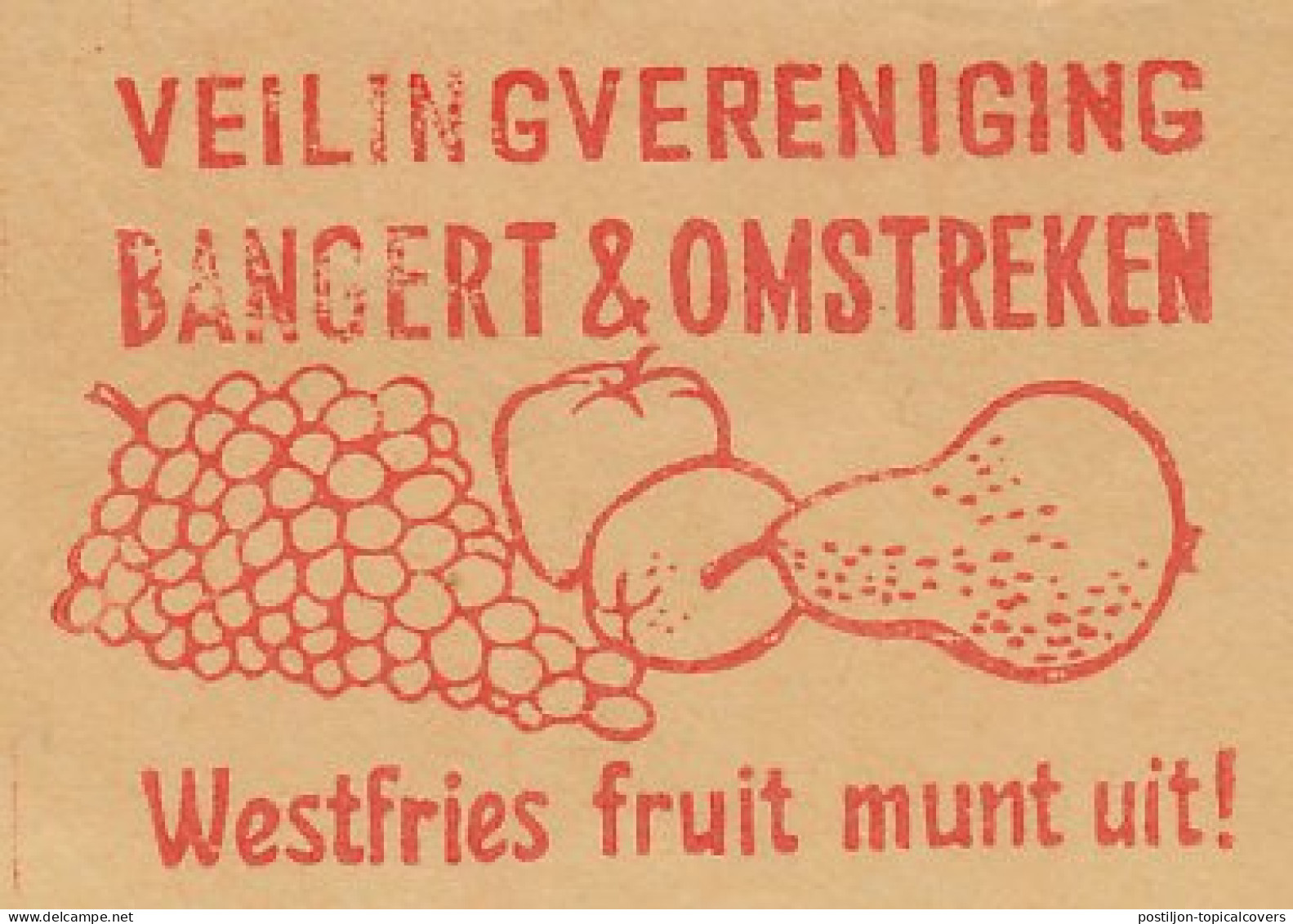 Meter Cut Netherlands 1961 Grapes - Apple - Pear - Frutta