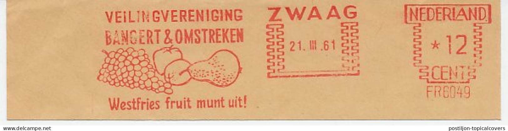 Meter Cut Netherlands 1961 Grapes - Apple - Pear - Fruit