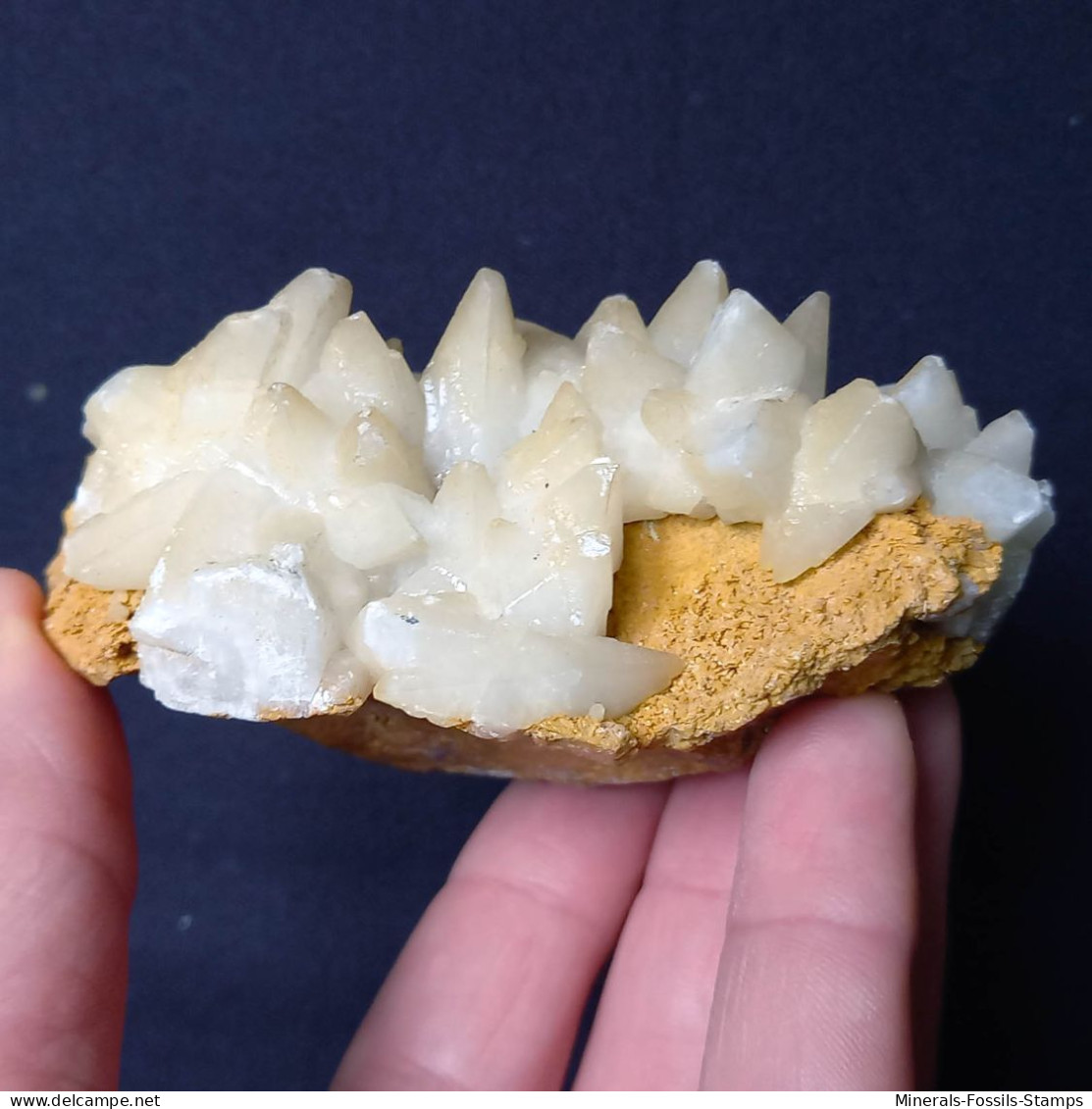 #B45 Schöne CALCIT  „Hundezahn“ Kristalle (San Giovanni Mine, Bindua, Iglesias, Sardinien, Italien) - Mineralien
