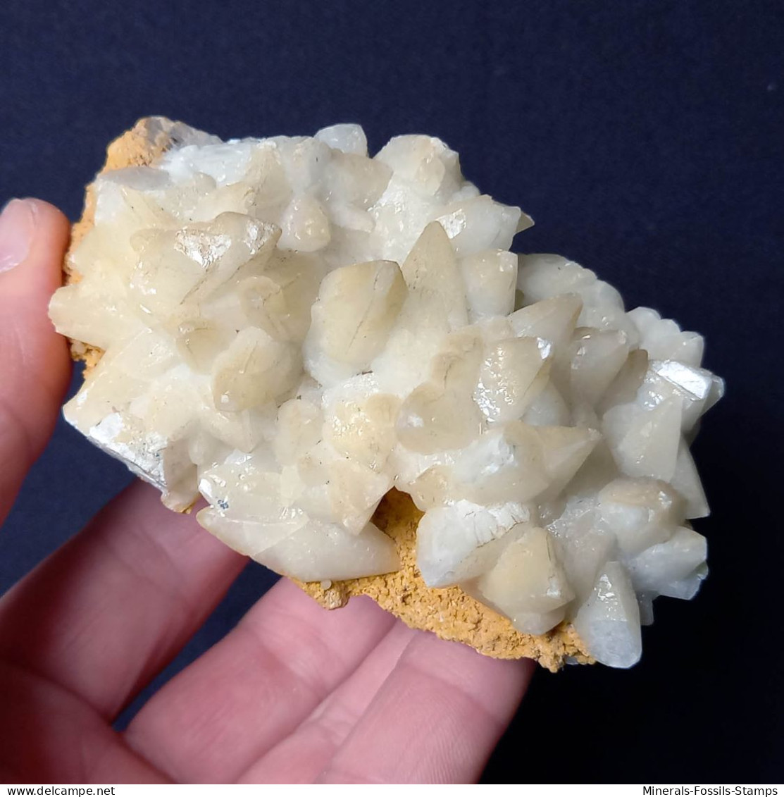 #B45 Schöne CALCIT  „Hundezahn“ Kristalle (San Giovanni Mine, Bindua, Iglesias, Sardinien, Italien) - Minerali