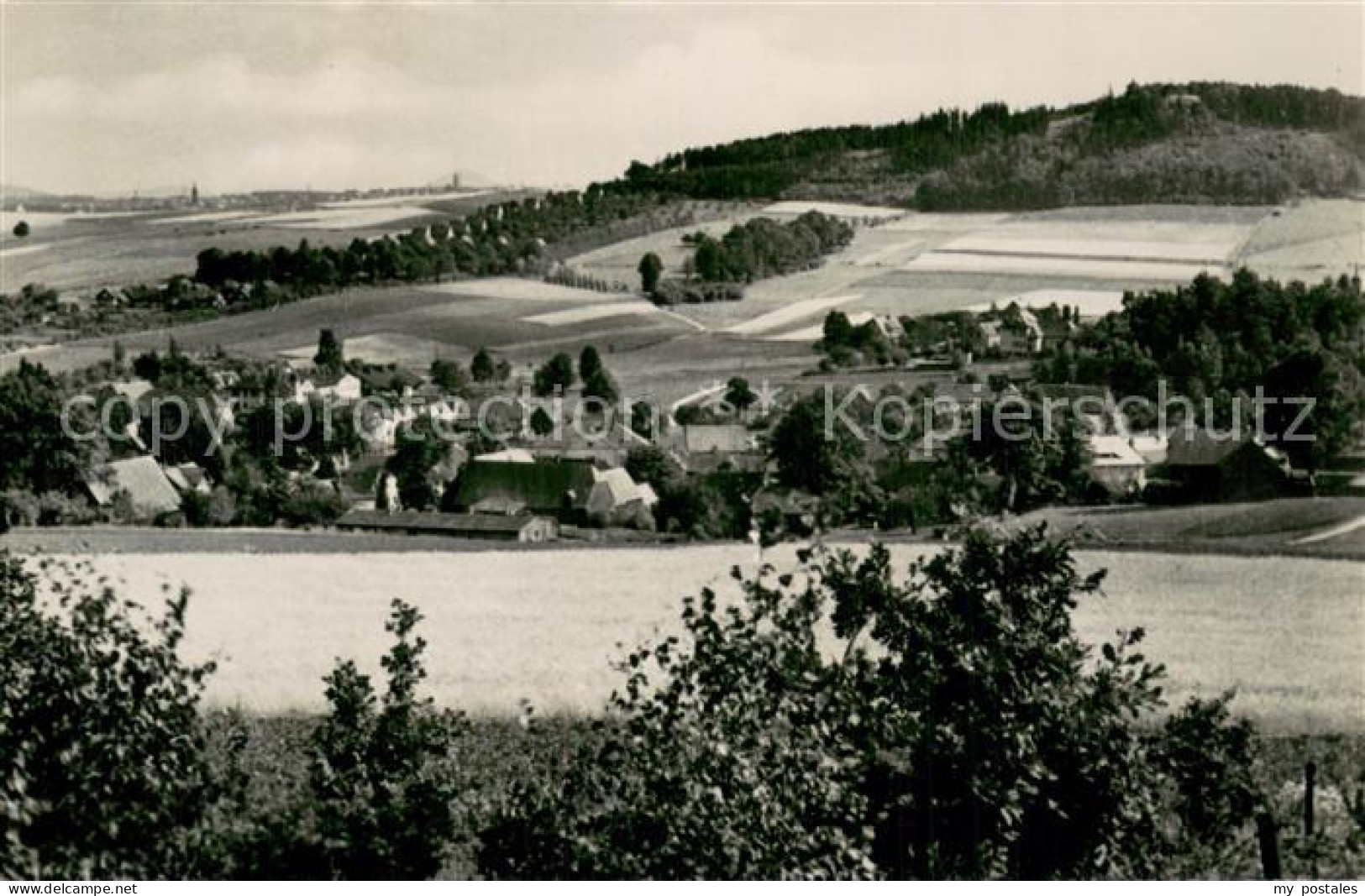 73753063 Ebersbach Sachsen Blick Von Der Klunst Zum Schlechteberg Ebersbach Sach - Other & Unclassified