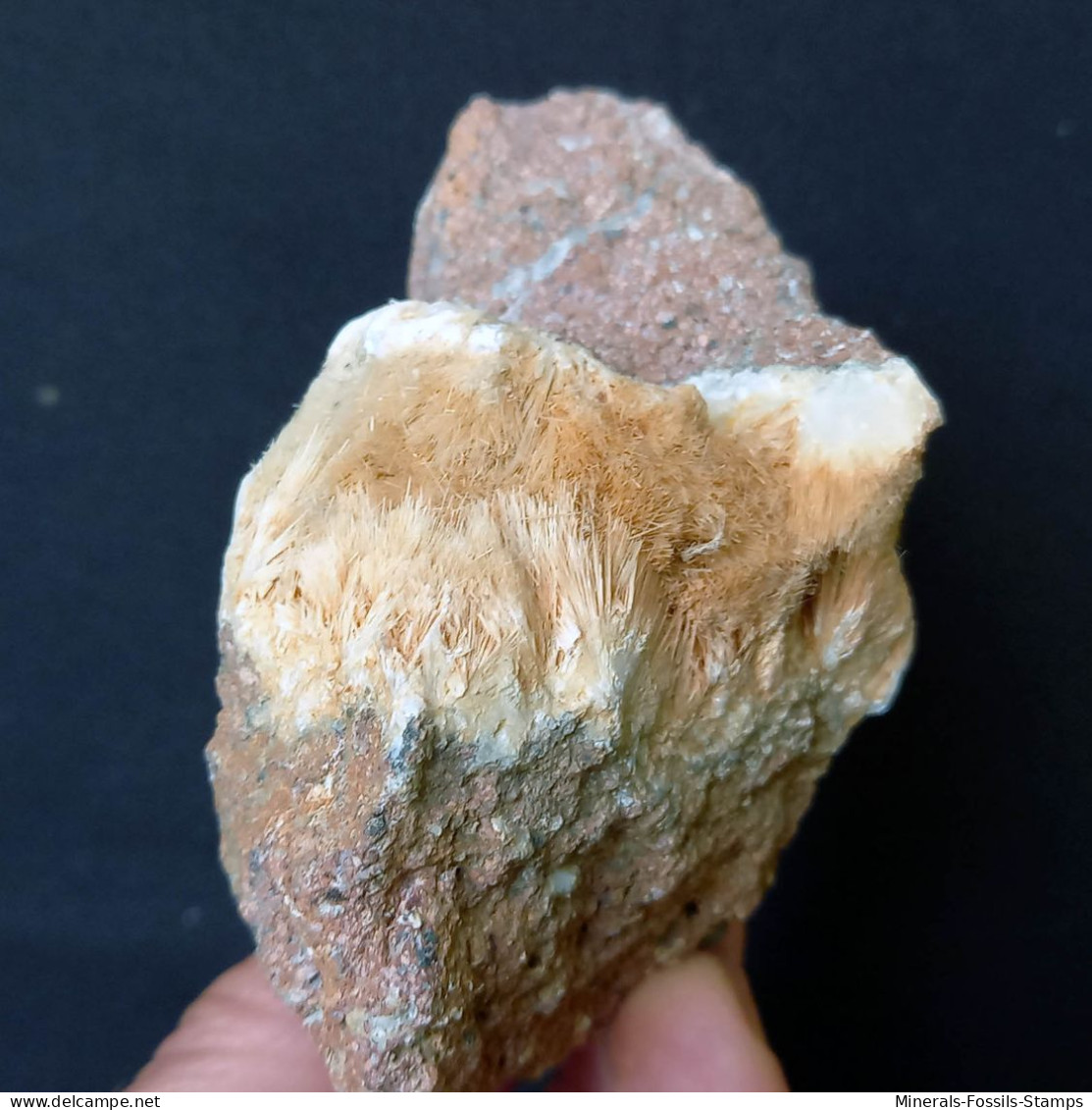 #B46 Schöne Seltene MORDENIT Kristalle (Cava Muradu, Osilo, Sassari, Sardinien, Italien) - Minerals