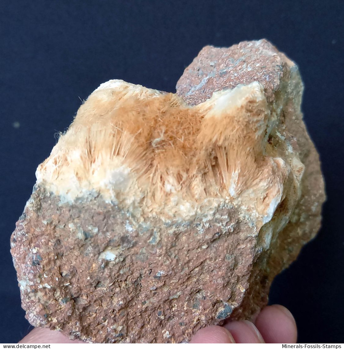 #B46 Schöne Seltene MORDENIT Kristalle (Cava Muradu, Osilo, Sassari, Sardinien, Italien) - Mineralien