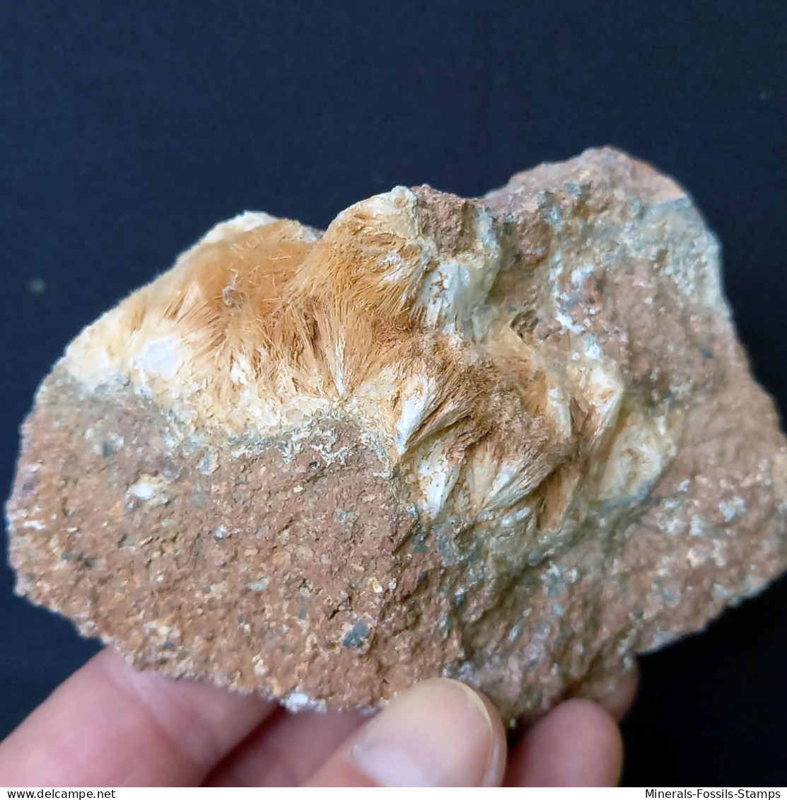 #B46 Schöne Seltene MORDENIT Kristalle (Cava Muradu, Osilo, Sassari, Sardinien, Italien) - Mineralien