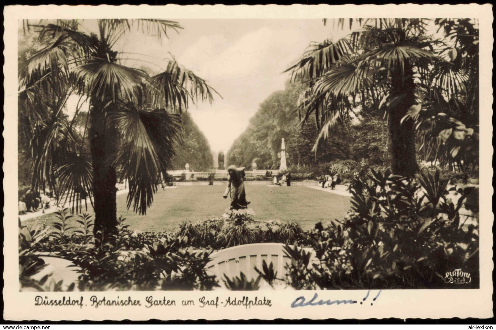 Ansichtskarte Düsseldorf Botanischer Garten Am Graf-Adolfplatz 1956 - Duesseldorf