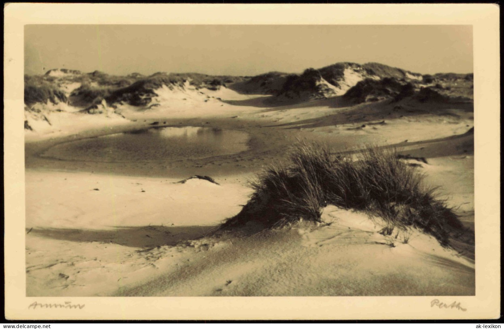 Ansichtskarte Insel Amrum In Den Dünen - Fotokarte 1922  Gel. Wittdün - Other & Unclassified